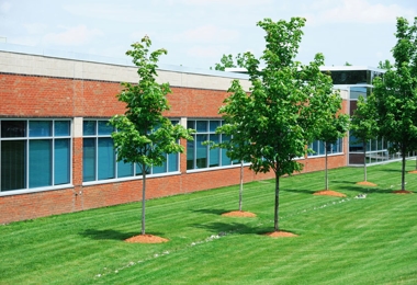 Commercial Landscaping